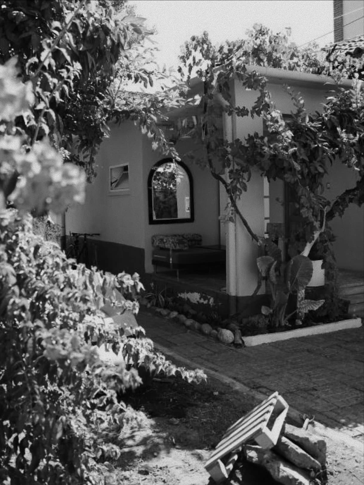 Lemon House